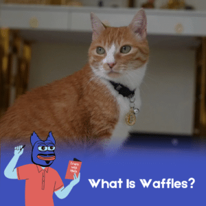 What Is Waffles coin